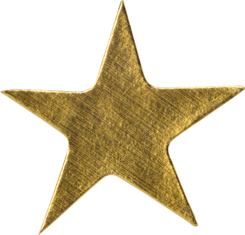 Gold Star Sticker